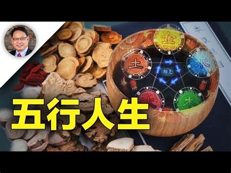 五行對應器官|保健知識｜中醫五行學說，對應人體器官